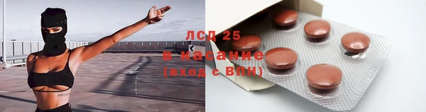 стаф Арсеньев