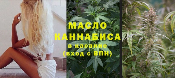стаф Арсеньев