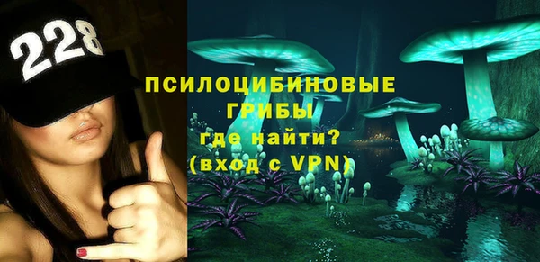 стаф Арсеньев