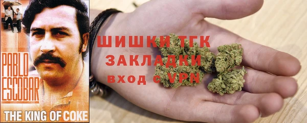 амф Аркадак