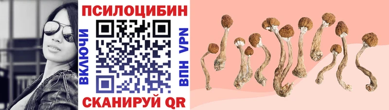 Псилоцибиновые грибы MAGIC MUSHROOMS  купить наркотик  Щёкино 